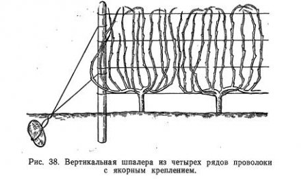      ( 2)